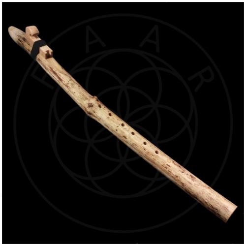 Native American Style Flute in C# 270